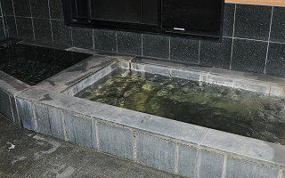 かれい川の湯
