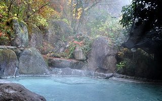 しらはなシンフォニー