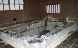 岳の湯地獄谷温泉 裕花